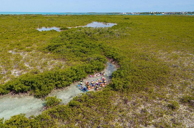 2 Hours Clear Kayaking Activity on Mangrove Cay - Guide Stories and Spotting Skills: Why the Tour Feels Guided