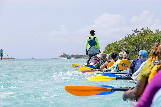 2 Hours Clear Kayaking Activity on Mangrove Cay - Who This Kayak Tour Fits Best (And Who Should Rethink It)