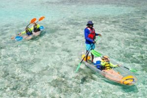 3HR Clear Kayak Mangrove and iguana island Tour in Leeward - Mangrove Cay: Clear-Bottom Wildlife Time You Can Actually See