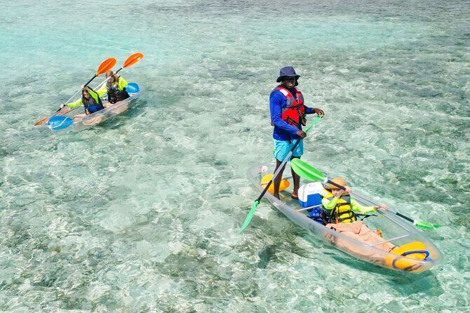 3HR Clear Kayak Mangrove and iguana island Tour in Leeward - Mangrove Cay: Clear-Bottom Wildlife Time You Can Actually See