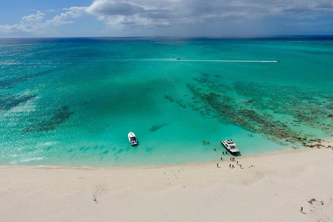 4hour Group Half Day Snorkeling Excursion in Grace Bay - Little Water Cay (Iguana Island): Beach, Lunch, and Rock Iguanas