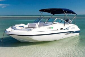 4HR Private bottom Fishing Charter with lunch - Choosing Your Route: Custom Itineraries That Stay Flexible
