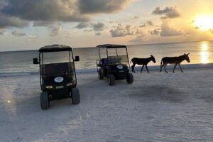 BMC Rentals -Golf Carts & Jeep Wrangler in Grand Turks - Getting From the Cruise Area to BMC Rentals Without Stress