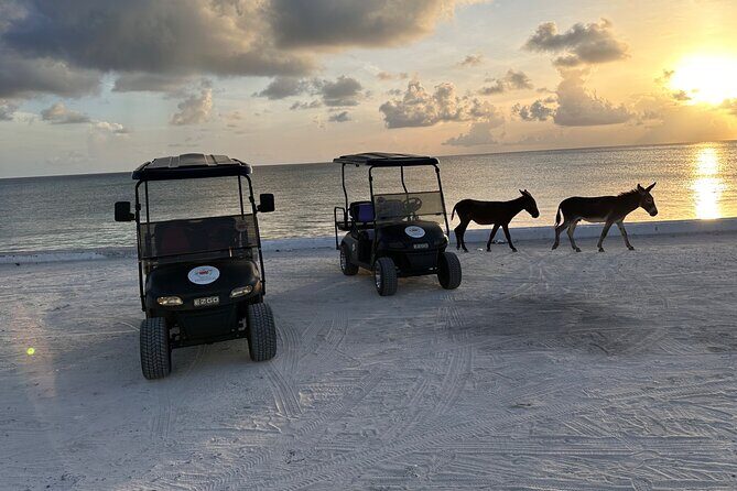 BMC Rentals -Golf Carts & Jeep Wrangler in Grand Turks - Getting From the Cruise Area to BMC Rentals Without Stress