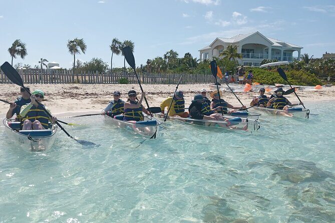 Clear Bottom Kayaks Mangrove Tour - How a clear-bottom kayak changes mangrove sightseeing