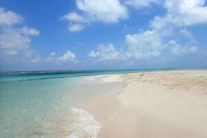 Exclusive Supreme Snorkeling Tour - Conch From Sea to Salad: What the Crew Shows You