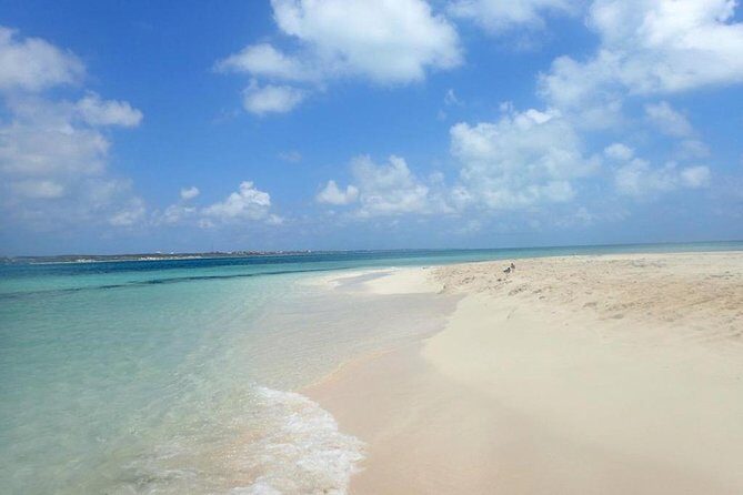 Exclusive Supreme Snorkeling Tour - Conch From Sea to Salad: What the Crew Shows You