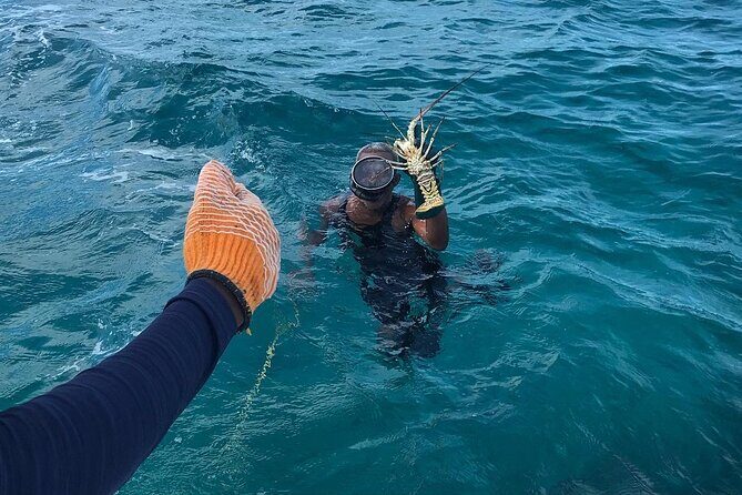 Full-Day Private Cruise in Turks and Caicos with Lunch - Dellis Cay: snorkeling and calm-water swimming time