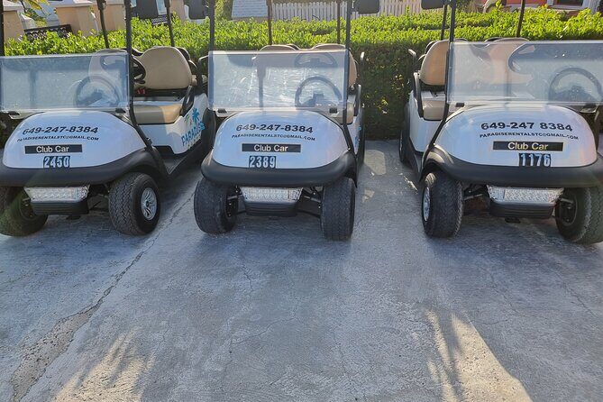 Golf Cart Rental in Grand Turk (4-seater) - Cart basics: the Club Car Precedent you’ll likely drive