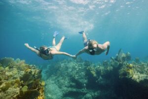 Half Day Private Boat Charter at Grace Bay, Providenciales - Half Moon Bay and Iguana Island: a land stop that feels like a scene change