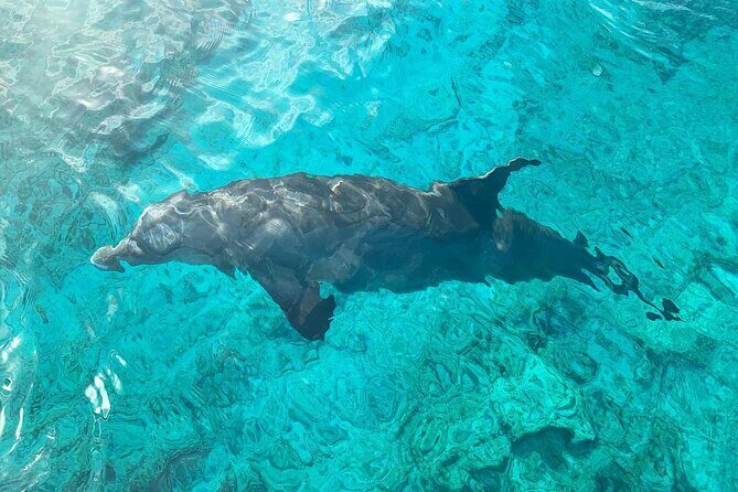Half Day Snorkeling, Sightseeing & Island Hopping Private Charter (Afternoon) - Snacks, alcohol, and onboard comfort: value that shows up fast