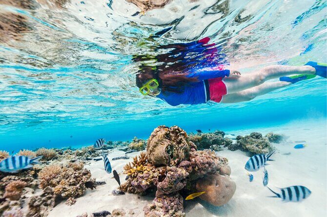 Half Moon Bay Jet Ski Tour & Snorkeling the La Famille Shipwreck - Long Bay Beach and Turtle Tail: photo-worthy coastline without the crowds