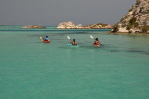 Kayak Eco Tour - Entering the Tour Flow: Big Blue Collective to Mangroves to Beach