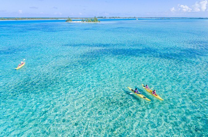 Kayak Eco Tour - Beginners Welcome: How the Instruction Works for Real People