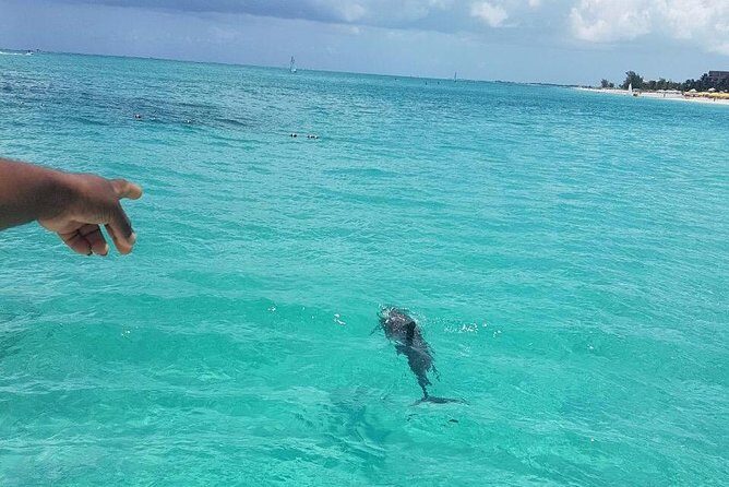 Key to the Sea Parasailing- Private Charter - Snacks, refreshments, and the photo moment you’ll want