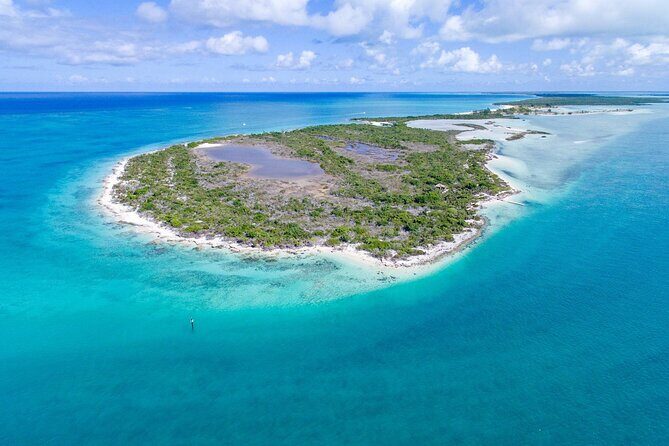 Mangrove Cay and Iguana Island Tours - Key things that make this tour worth it