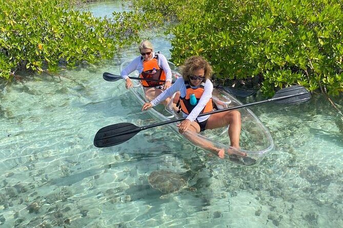 Mangrove Cay And Iguana Island Venture In Turks And Caicos Island - The Clear-Kayak Part: What Your Paddle Time Really Feels Like
