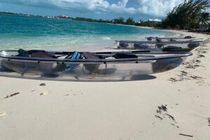 Mangrove & Iguana Clear Kayak Tour - Iguana Island Stop: Rock Iguanas, Birds, and the Mosquito Pocket