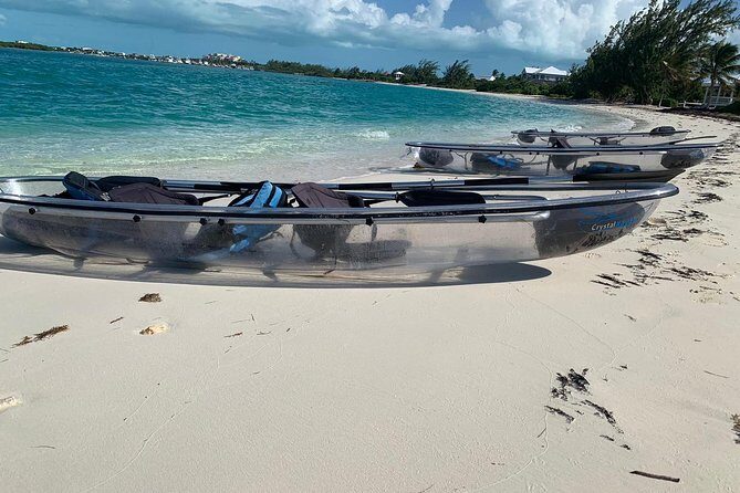 Mangrove & Iguana Clear Kayak Tour - Iguana Island Stop: Rock Iguanas, Birds, and the Mosquito Pocket