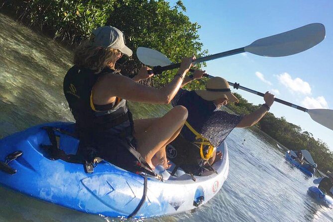 Mangroves Kayak Tour - Key things that make this Mangroves Kayak Tour worth your time