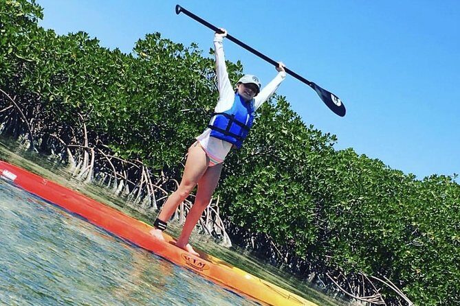 Mangroves Stand-Up Paddleboard Tour - Key things that make this mangrove paddle special