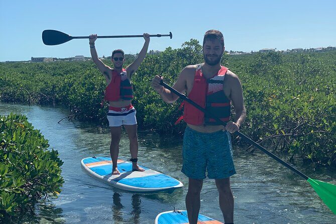 Mangroves Stand-Up Paddleboard Tour - Getting Started: Instruction That Makes a Two-Hour Tour Feel Easy