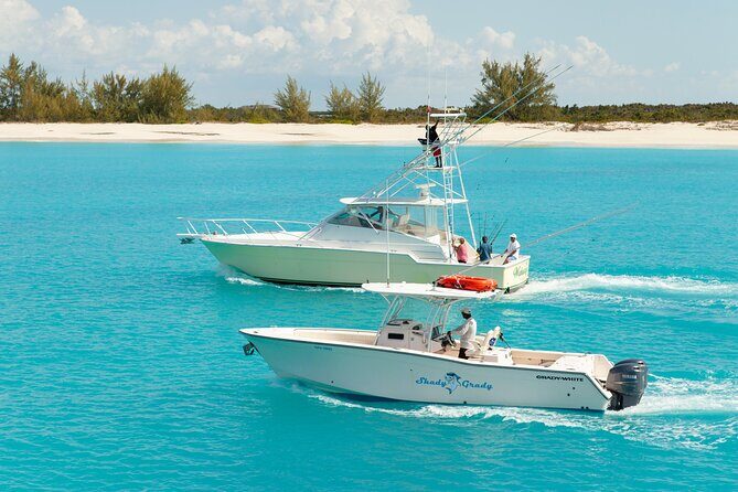 Private Deep Sea Fishing 1/2 Day morning on"Angler Management" - From 8am dock to dockside fillets: how the 4-hour flow works