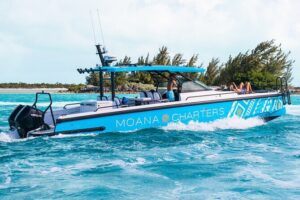 Private Half Day Luxury Snorkeling Charter - Reef snorkeling on Providenciales’ big barrier system