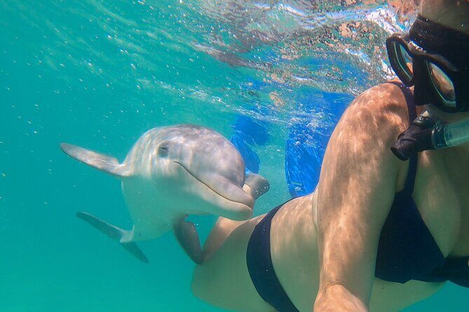 Private Reef, Beach and Sandbar Tour from Providenciales - Half Moon Bay Sandbar Walk: Iguanas, Low-Tide Energy, and a Nature Moment