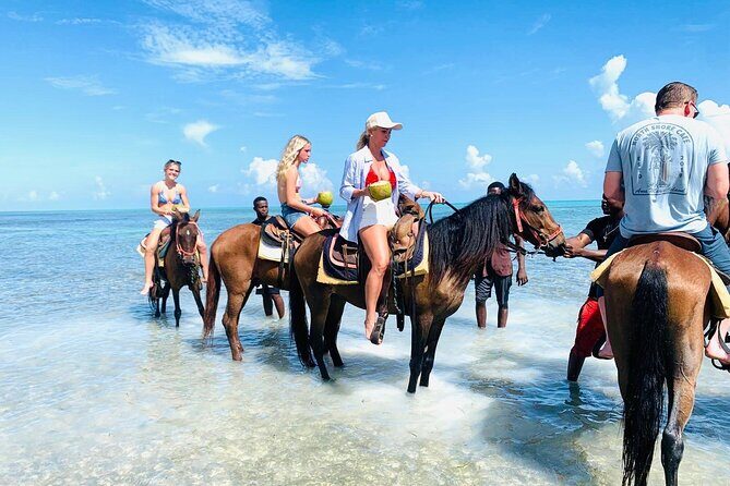 Small Group Horseback Riding Adventure in Caicos Islands - Getting To Malcolm Road: Shuttle Pickup and Your 1-Hour Window