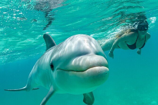 Snorkel Eco Tour - Key things I’d watch for before you go