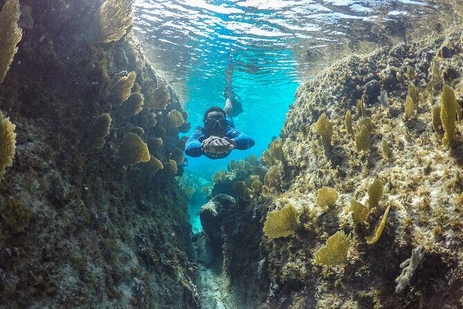 Snorkel Eco Tour - Price and value: is $366 per person fair for a half-day?