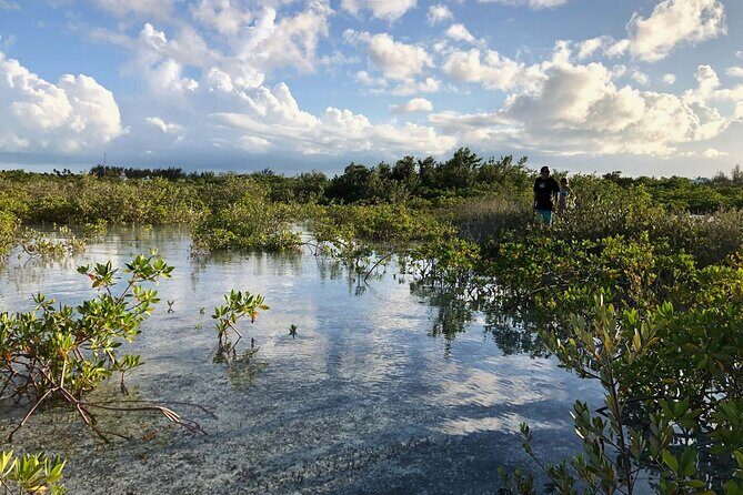Snuba Adventure at Emerald Reef - Small Group Size: Why Max 16 Changes the Experience