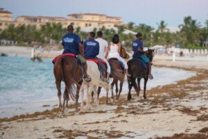 Spectacular Private Beach & Ocean Ride in Providenciales - Oscar’s Photo Work and Wildlife Spotting While You Ride