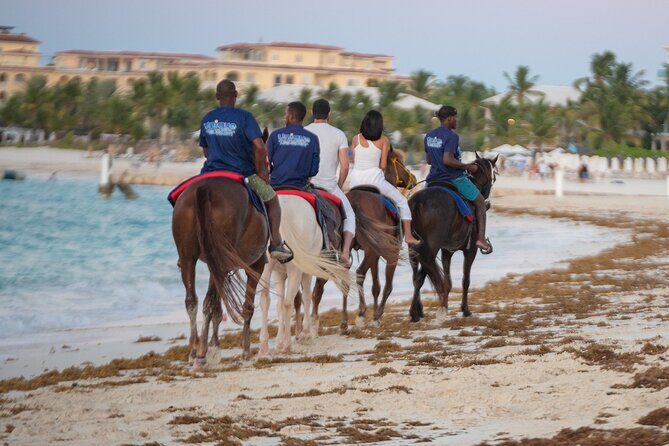 Spectacular Private Beach & Ocean Ride in Providenciales - Oscar’s Photo Work and Wildlife Spotting While You Ride