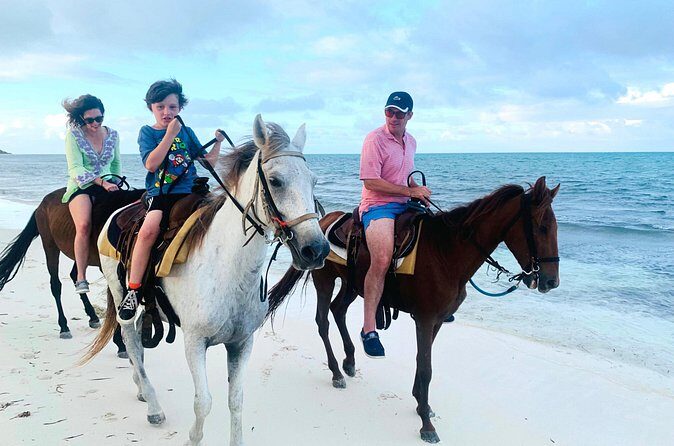 Sunset Horse Ride Experience - Horse Care, Safety, and What to Watch When You Arrive