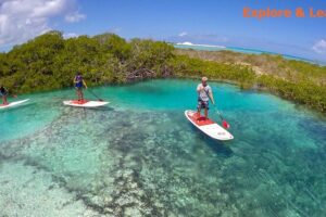 Turtle Eco Tour on Stand-Up Paddleboards or Kayaks into the National Marine Park - The meeting point and first 20 minutes: gear, lesson, and getting set up